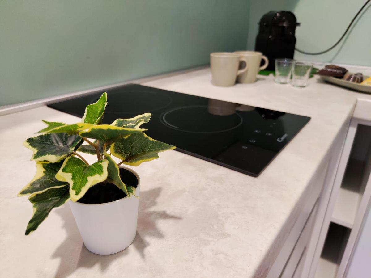 The Green Apt - Stylish And Confortable Large Studio Close To Metro * Milán